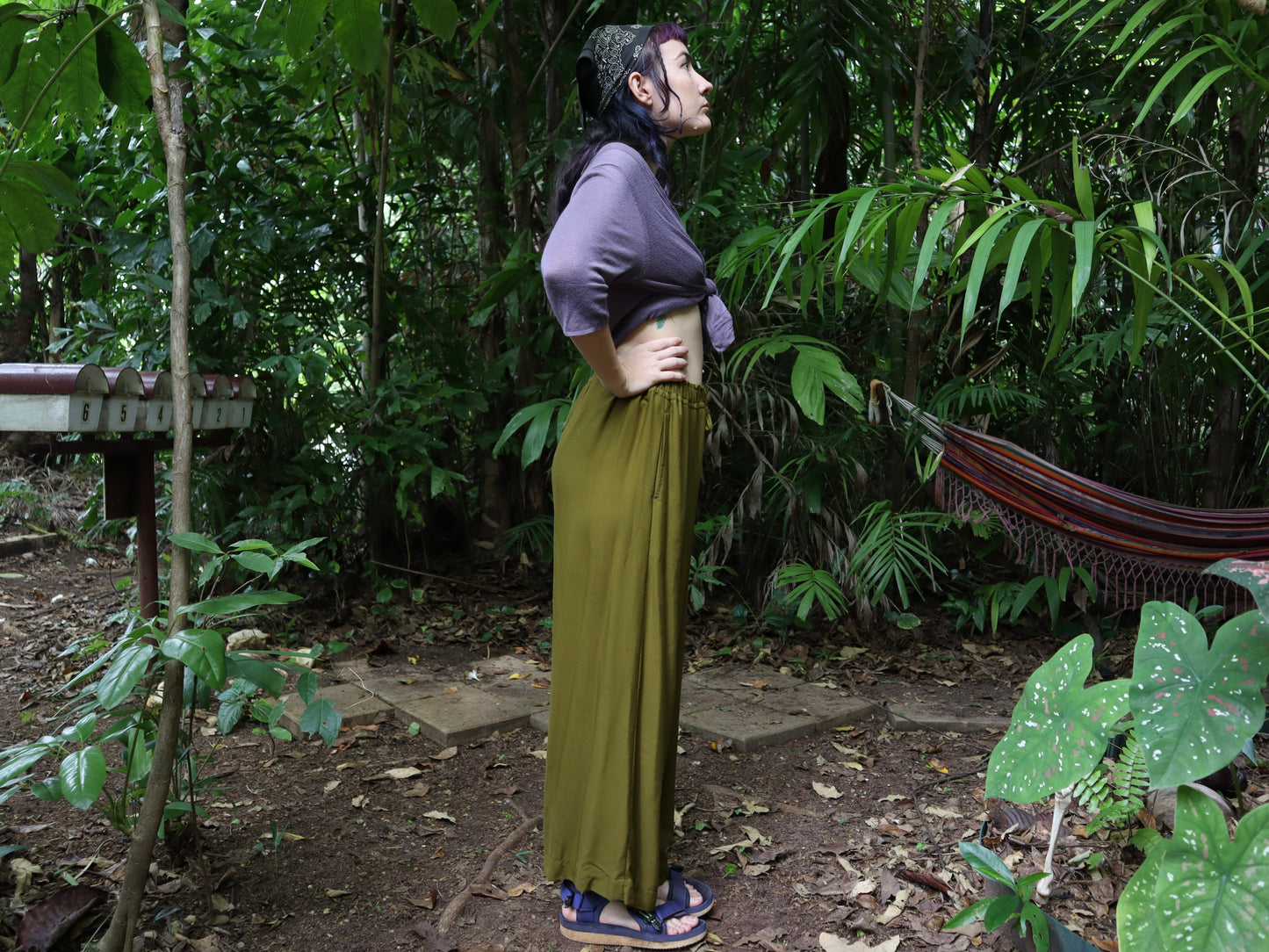 Lounge pants in Moss