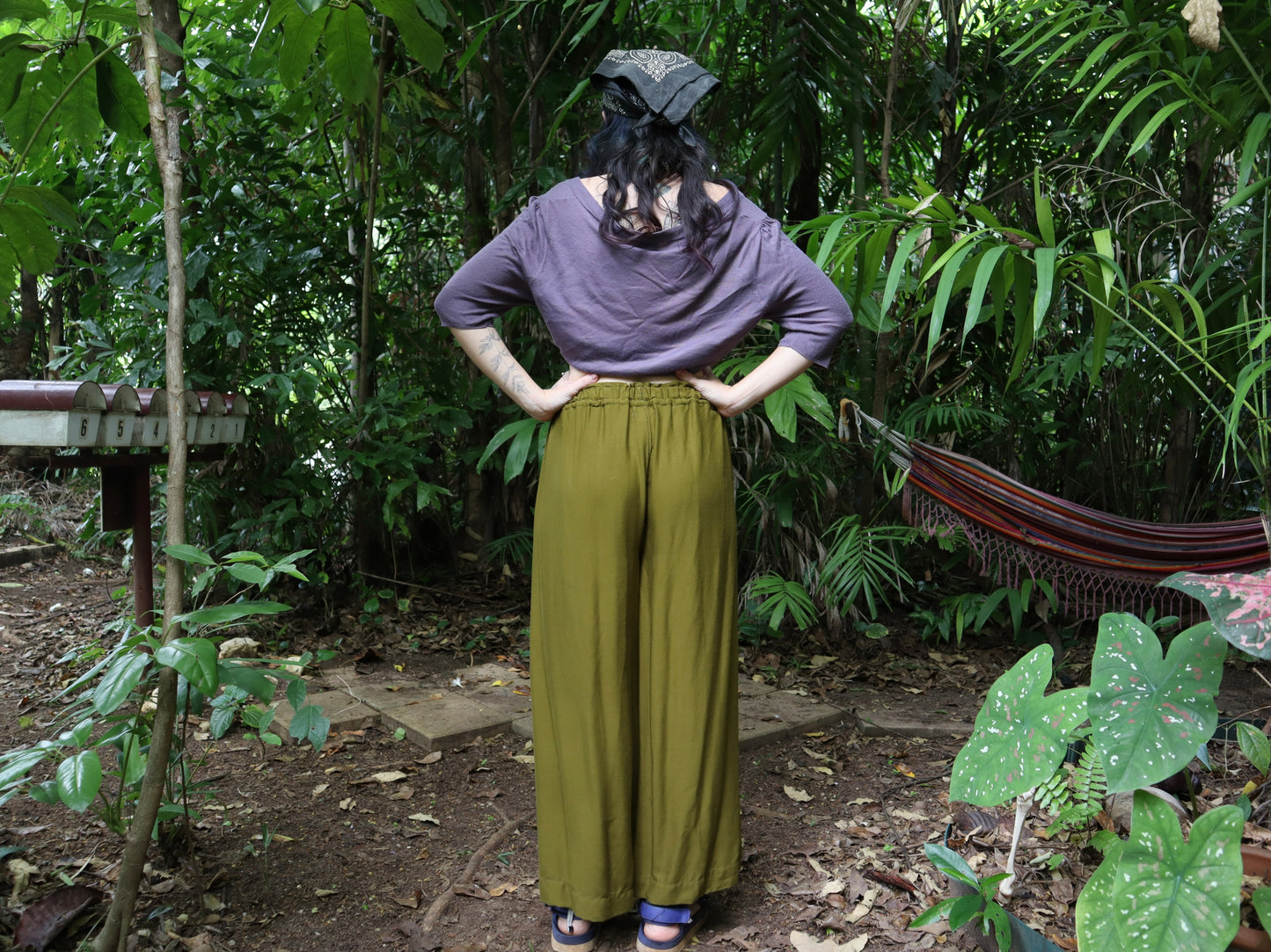 Lounge pants in Moss