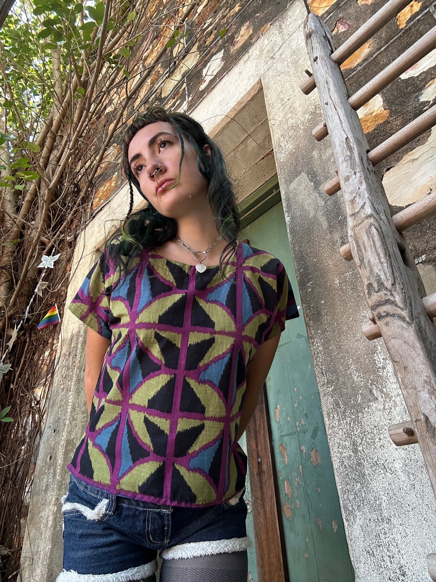 Hang around top in Jewel spider
